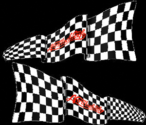 Nordschleife Chequered Flag Decal Set